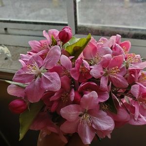 Meet your Posher, Marisol